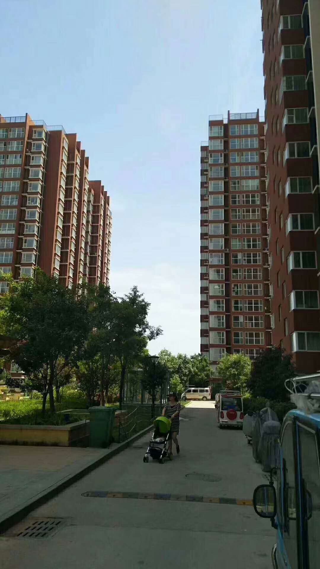 实景图