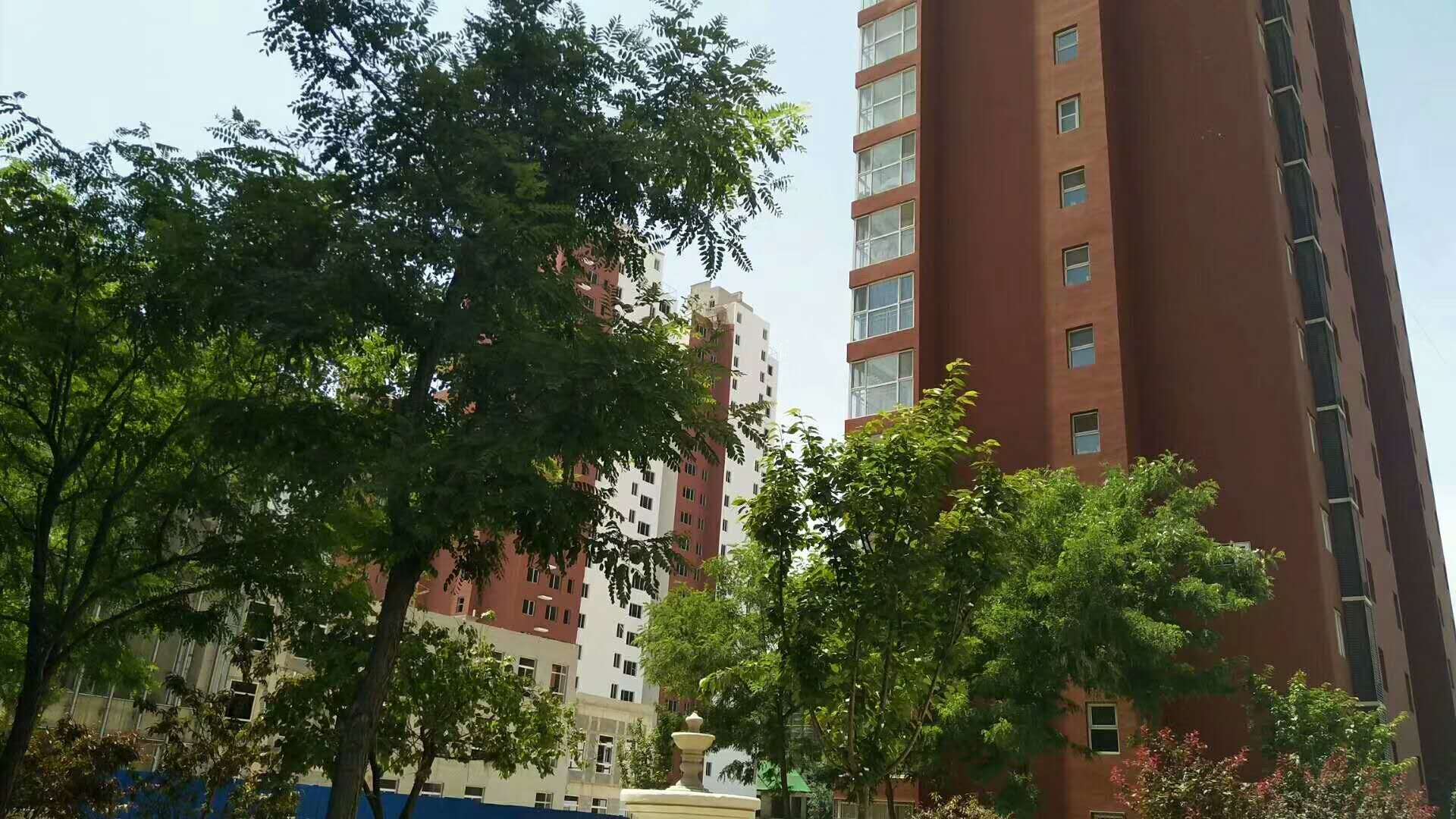 实景图