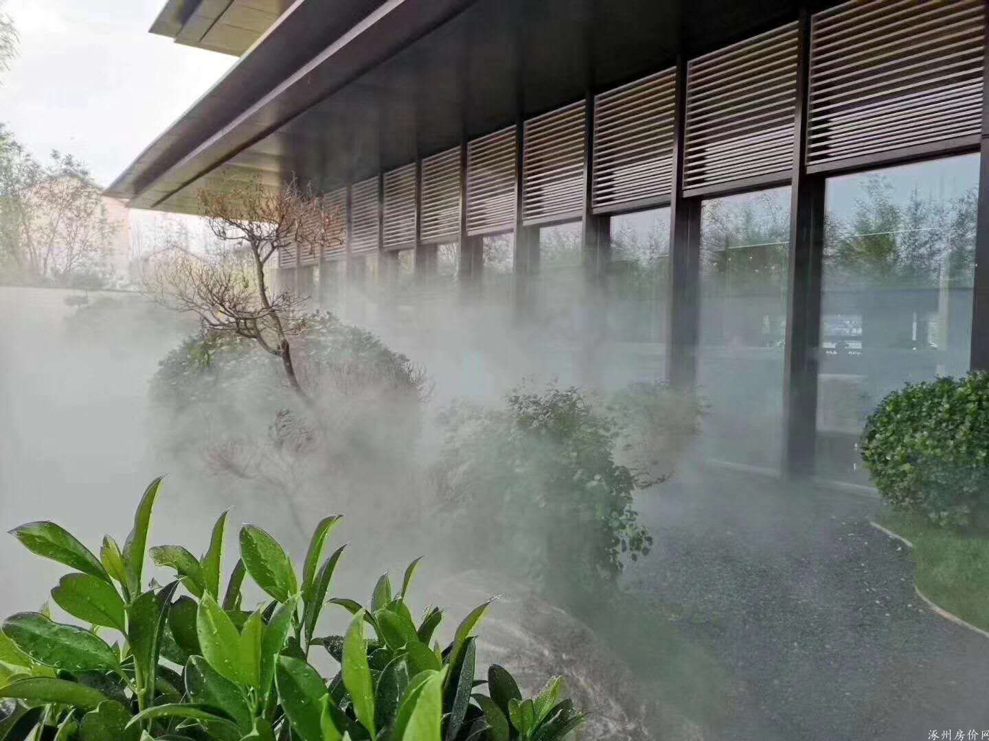 实景图