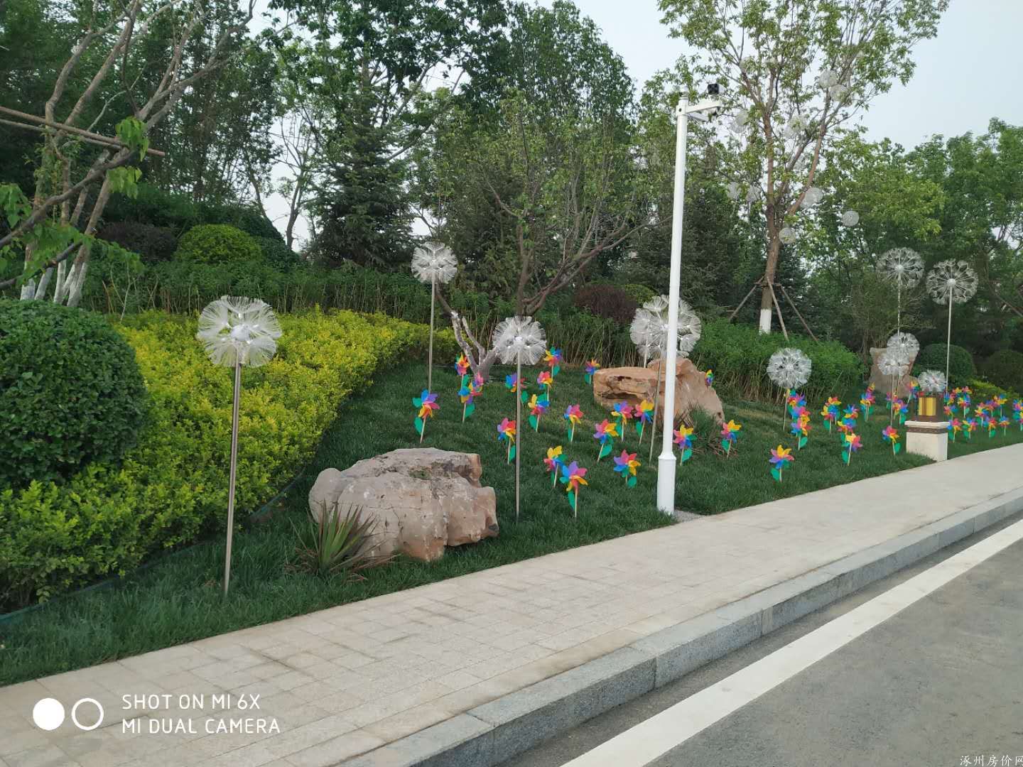实景图
