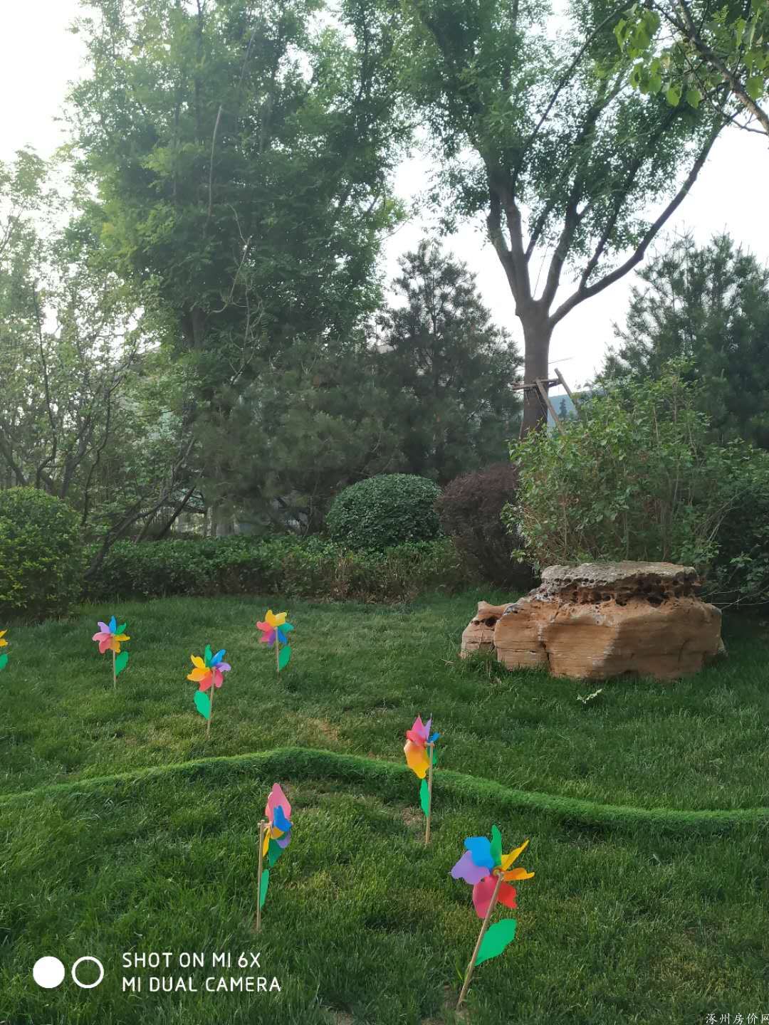 实景图