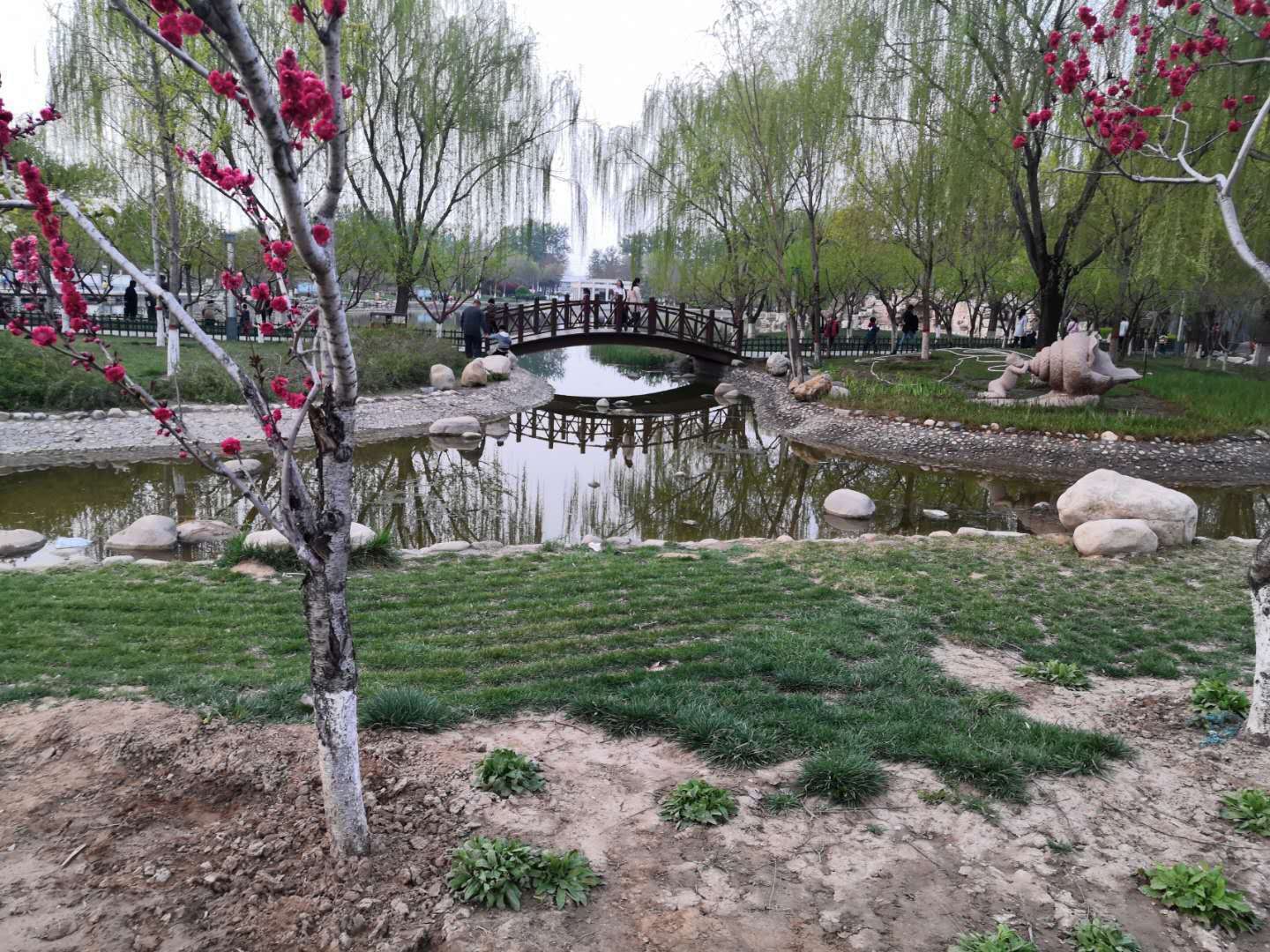 涿州孔雀城悦澜湾周围环境实景