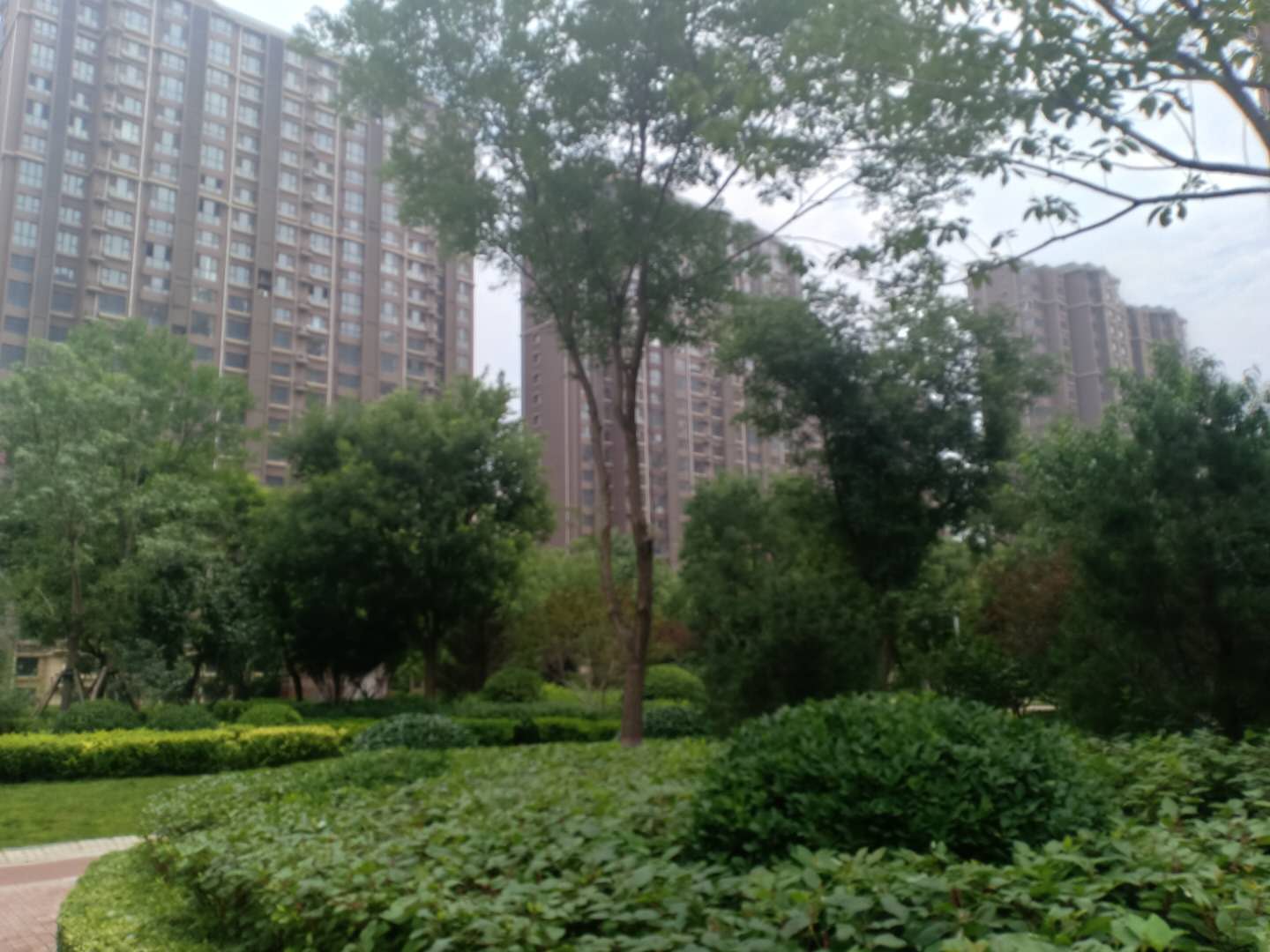 涿州印象城楼小区环境照