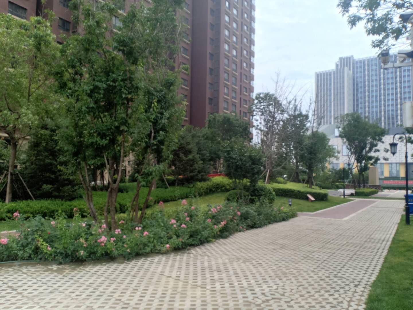 涿州印象城楼盘小区绿化环境