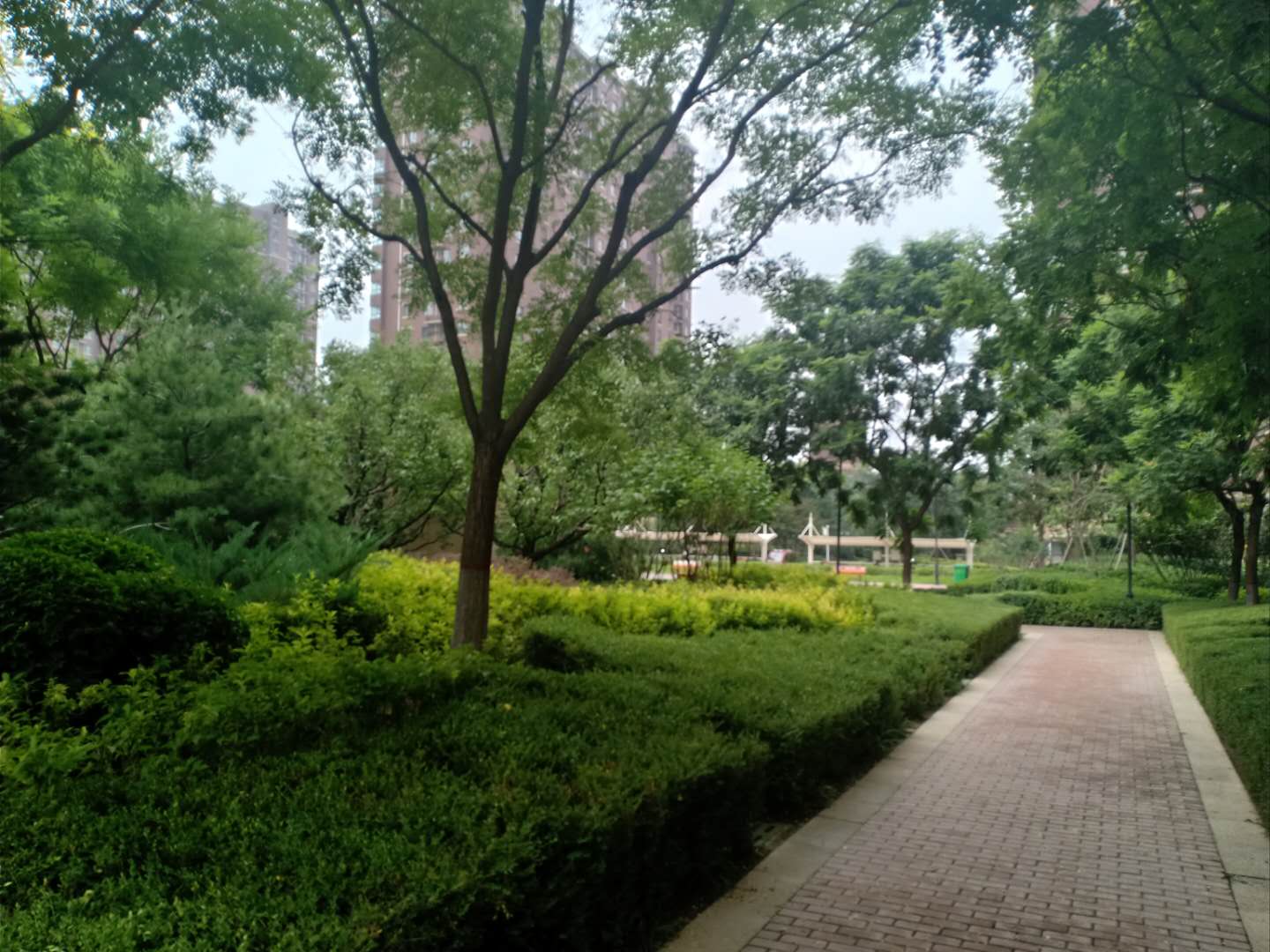 涿州鹏渤印象城小区实景图