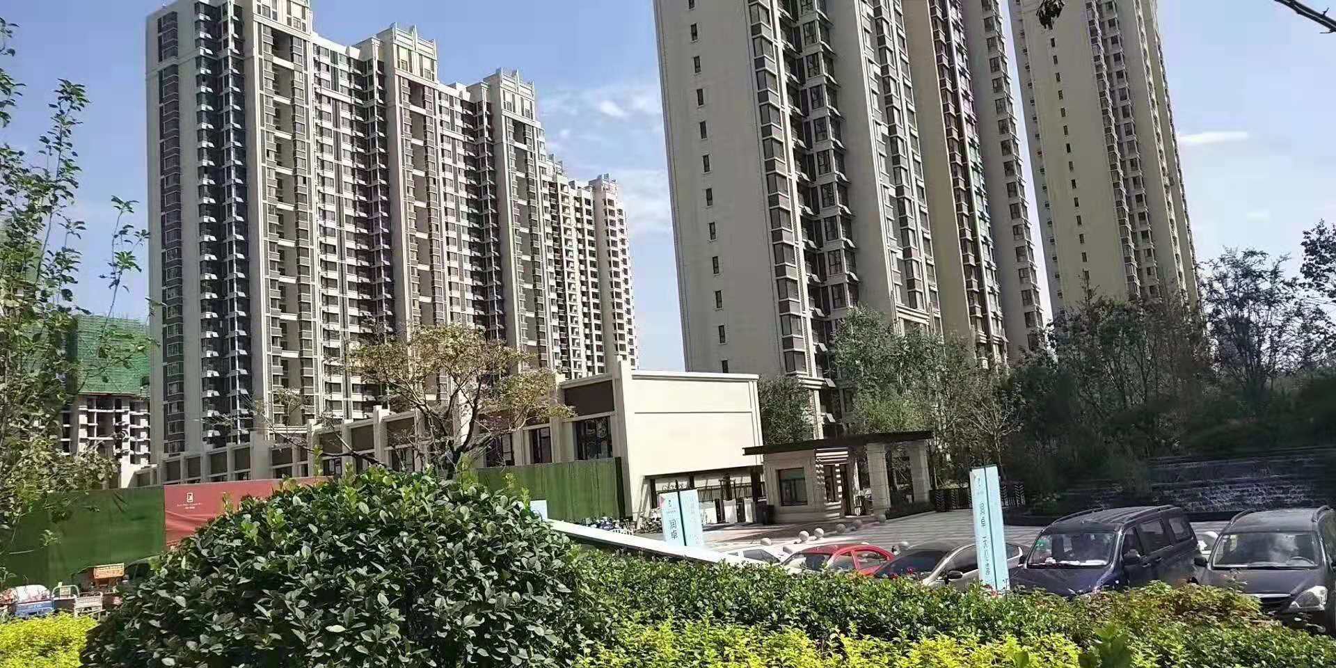 涿州天伦湾小区楼体绿化实景图片