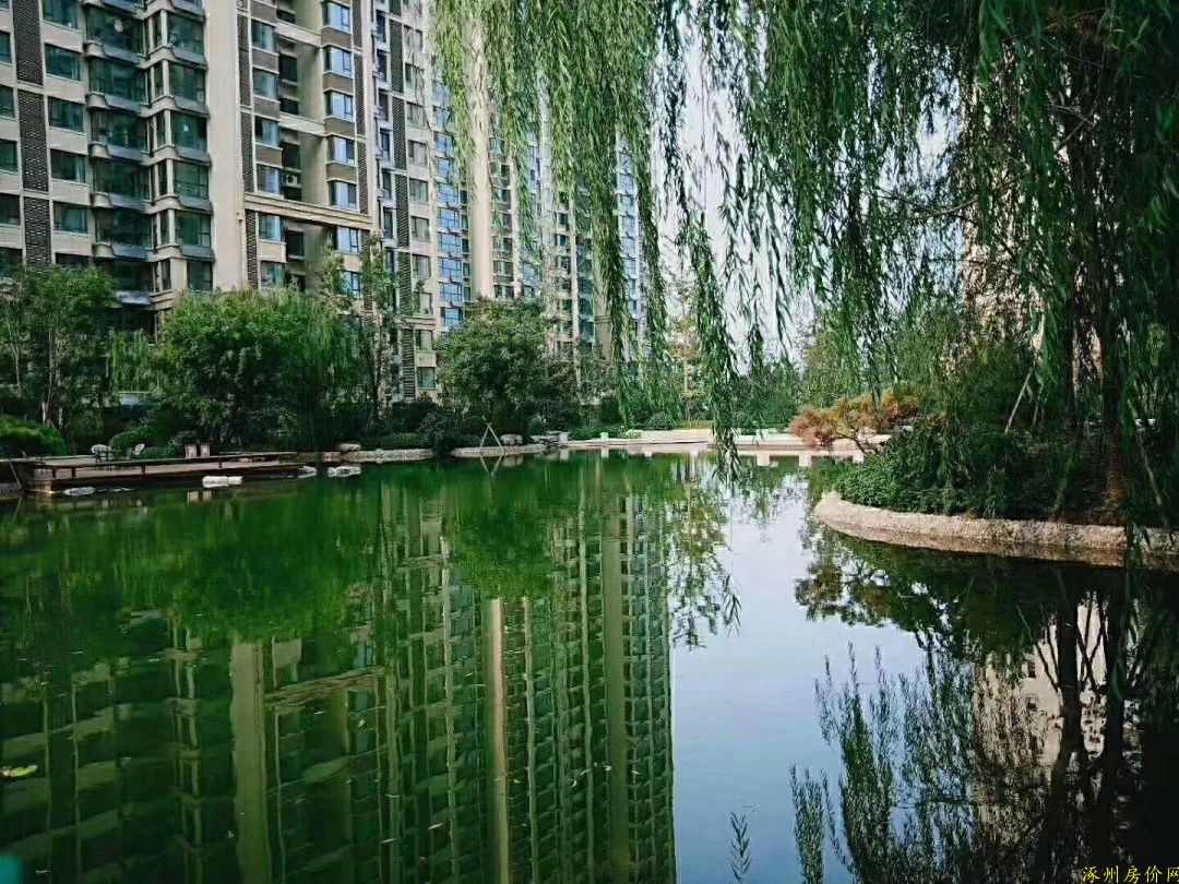涿州天伦湾园林环境实景照片