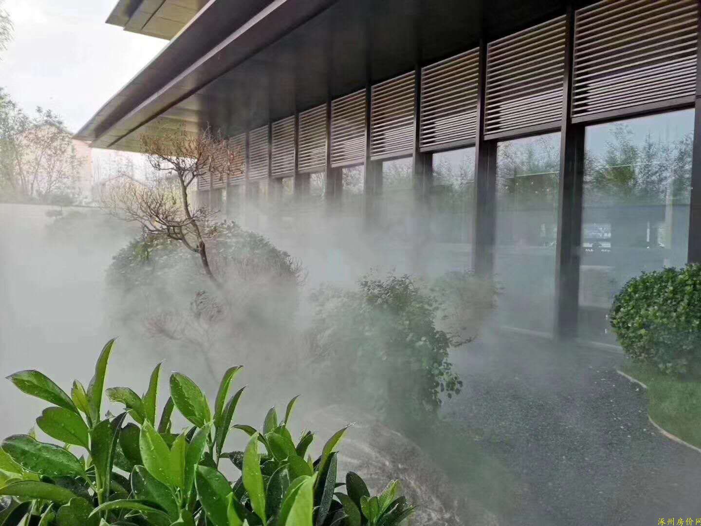 铂悦山实景图