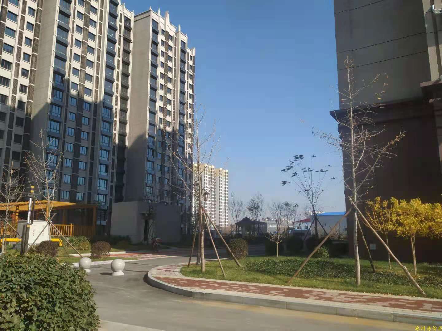 涿州北京理想城楼盘实景图